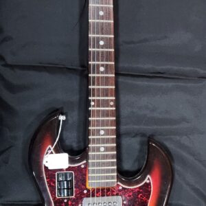 1960's Conrad Bison Sun Burst w/Original case