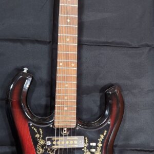 Vintage 1960's Kimberly Teisco Sekova Apollo Bison 2 tone Sunburst on Popscreen