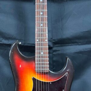 1965 Conrad Bison Sunburst Model 1244