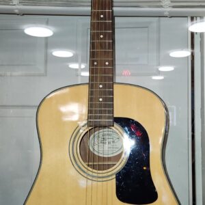 Washburn D-10N Guitar