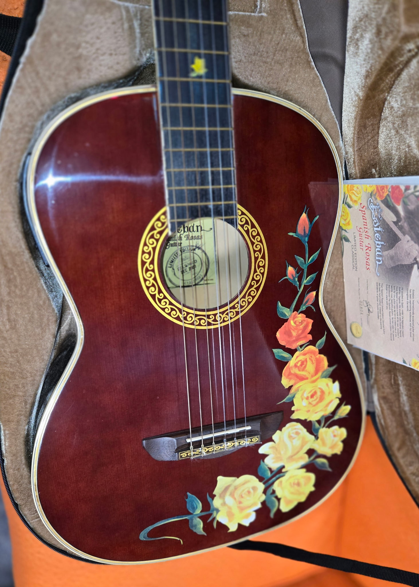 2007 Esteban Spanish Rosas Classical Acoustic-Electric Guitar - Image 7