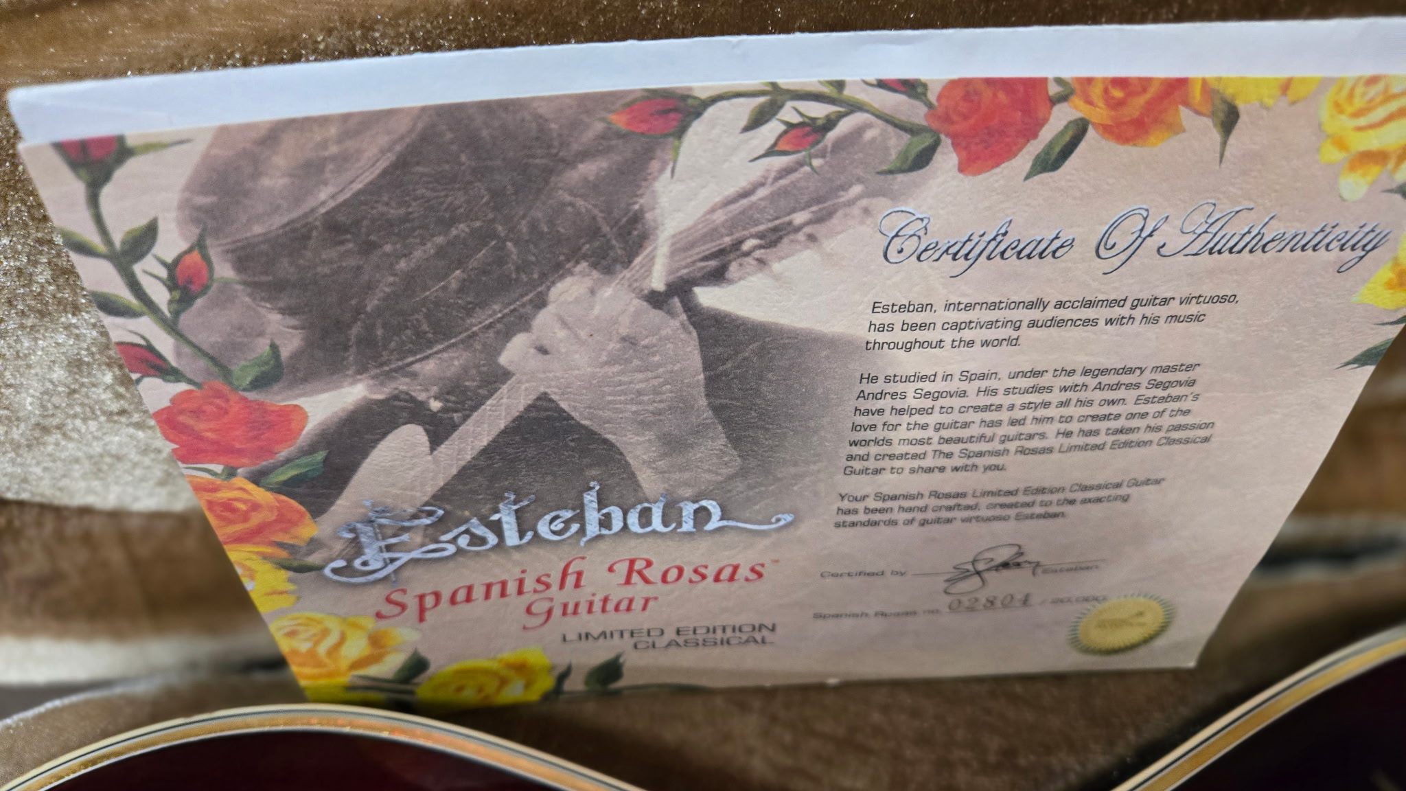 2007 Esteban Spanish Rosas Classical Acoustic-Electric Guitar - Image 8