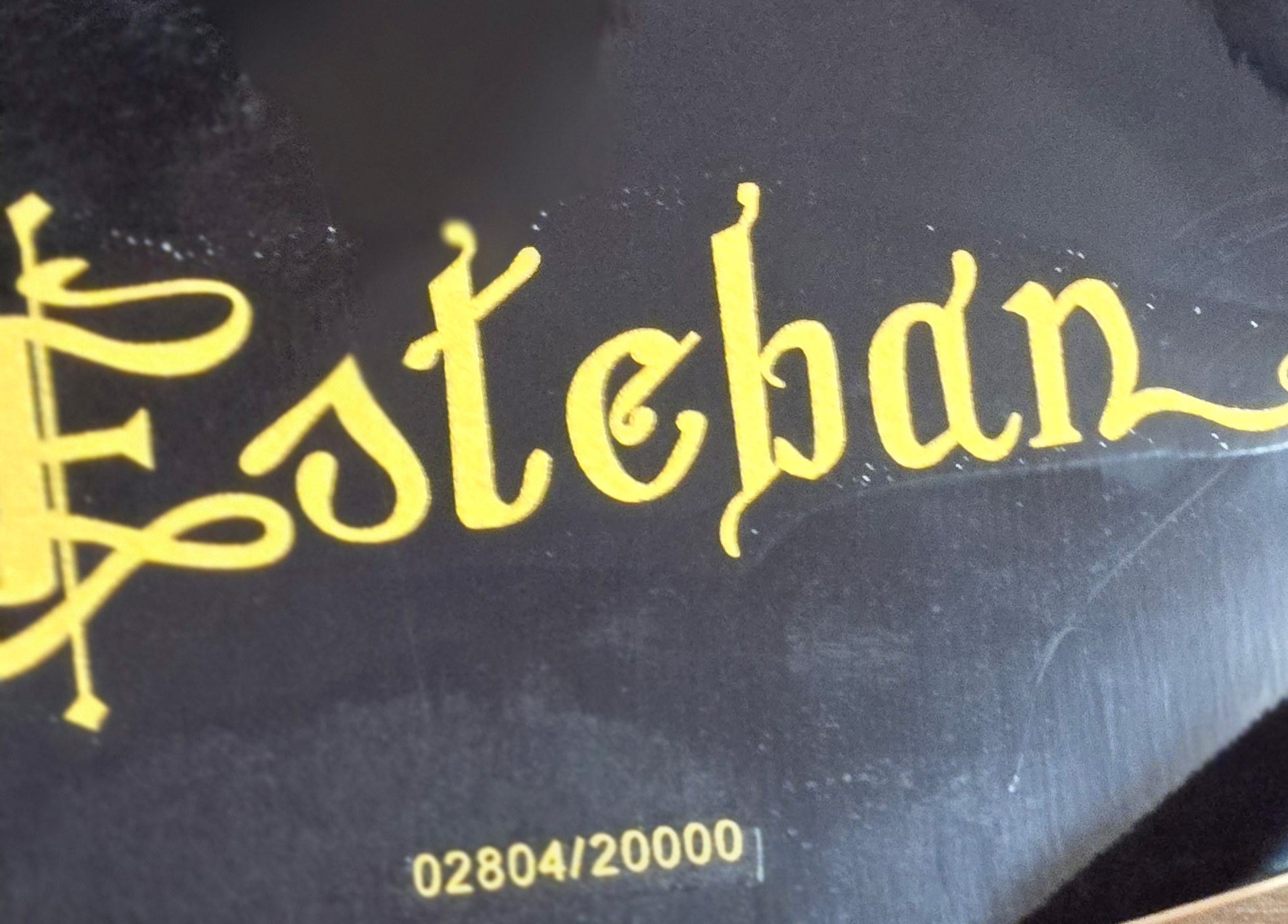 2007 Esteban Spanish Rosas Classical Acoustic-Electric Guitar - Image 9