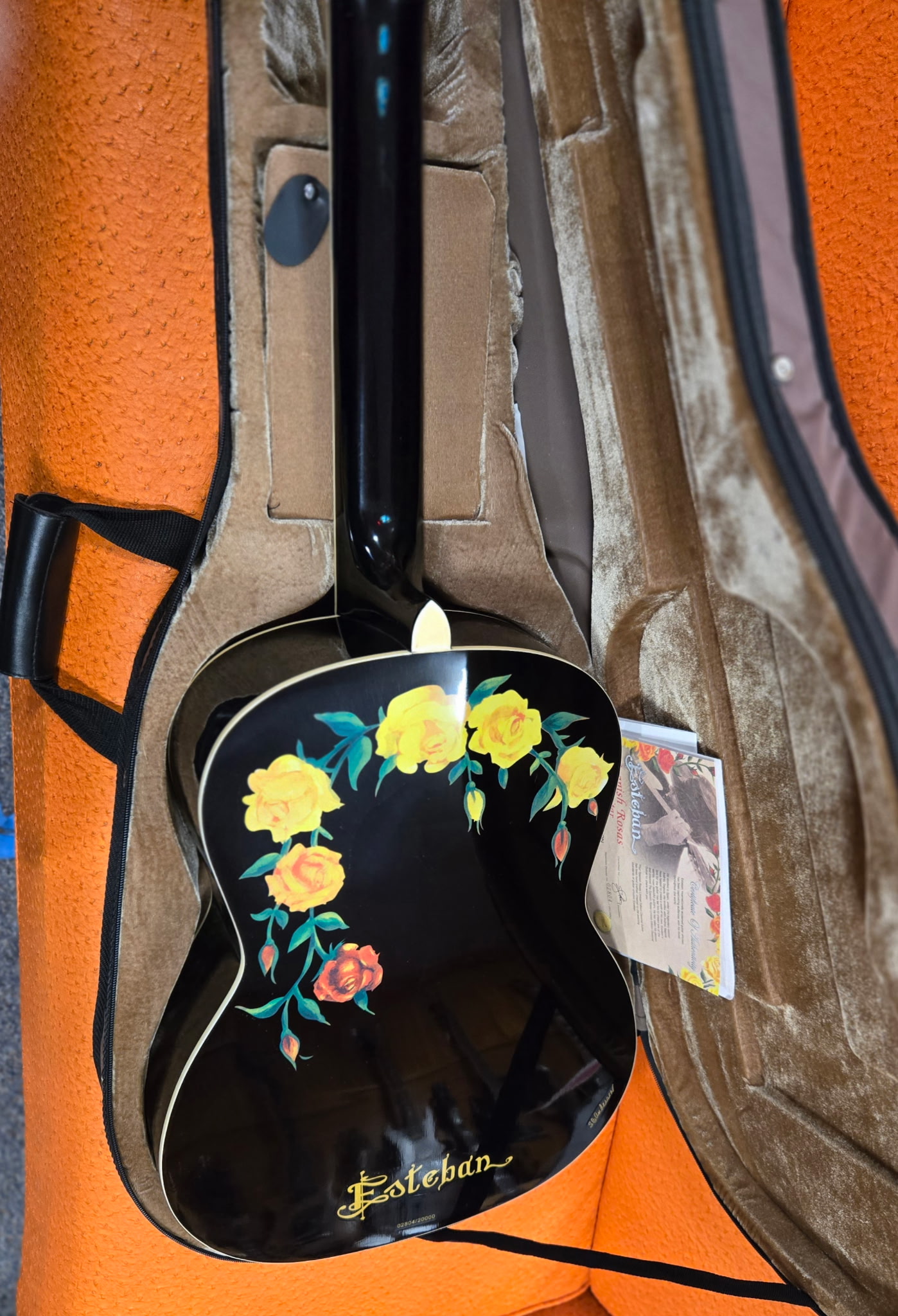 2007 Esteban Spanish Rosas Classical Acoustic-Electric Guitar - Image 10